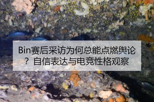 sai-hou-cai-fang-wei-he-zong-neng-dian-ran-yu-lun-zi-xin-biao-da-yu-dian-jing-xing-ge-guan-cha-2-537.jpg
