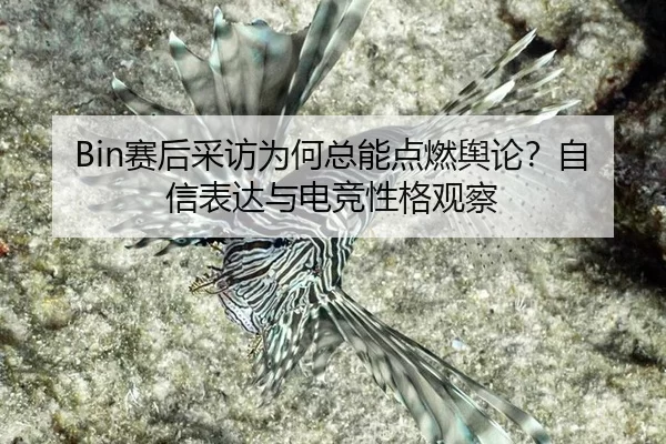 Bin赛后采访为何总能点燃舆论？自信表达与电竞性格观察
